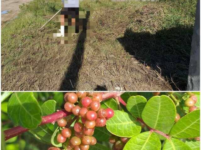 Terreno para Venda em Arraial do Cabo - 3